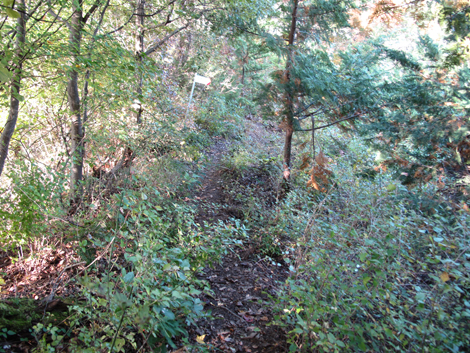 20161104hike (247)